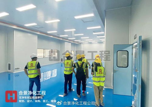 金山高新區生物醫藥新工廠投用 總投資3.5億元，合景凈化工程公司引領行業新篇章